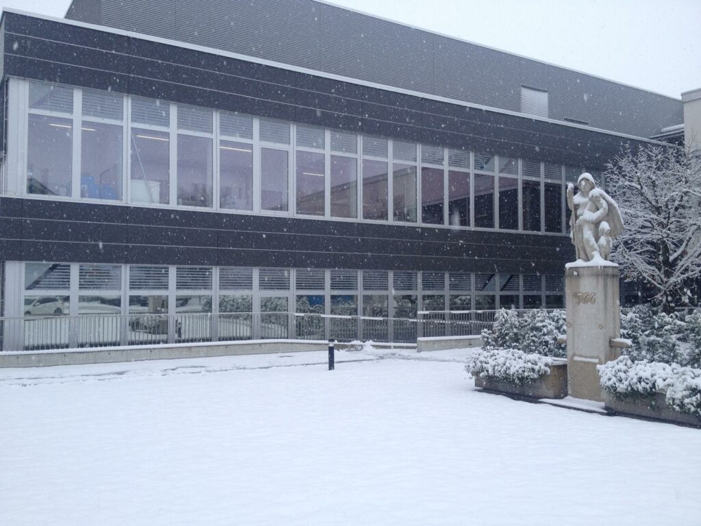 vitres-teintees-batiment-hiver-5